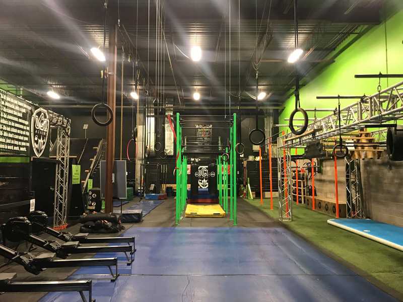 Tarzan Swing (Row of Rings)