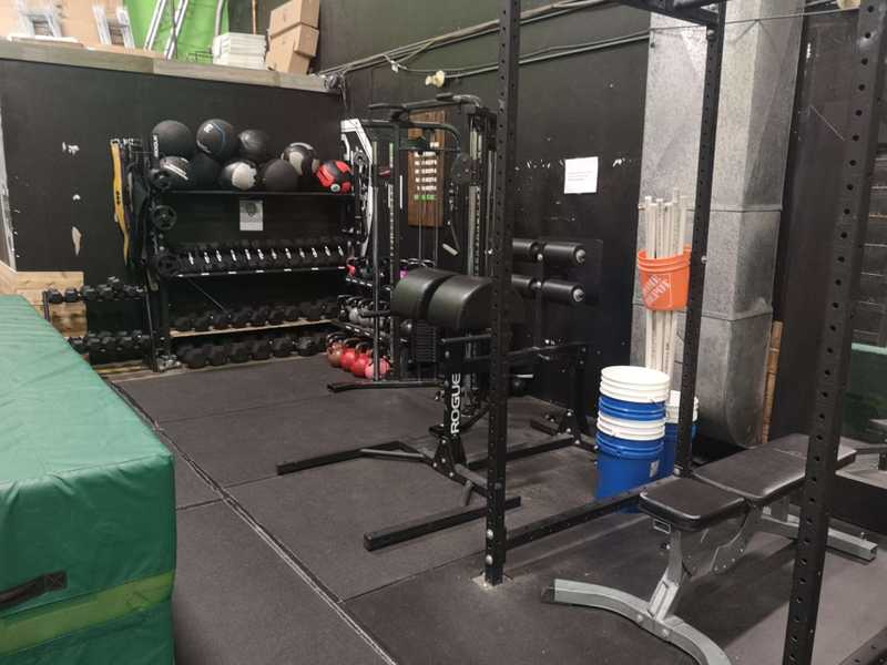 Free Weights